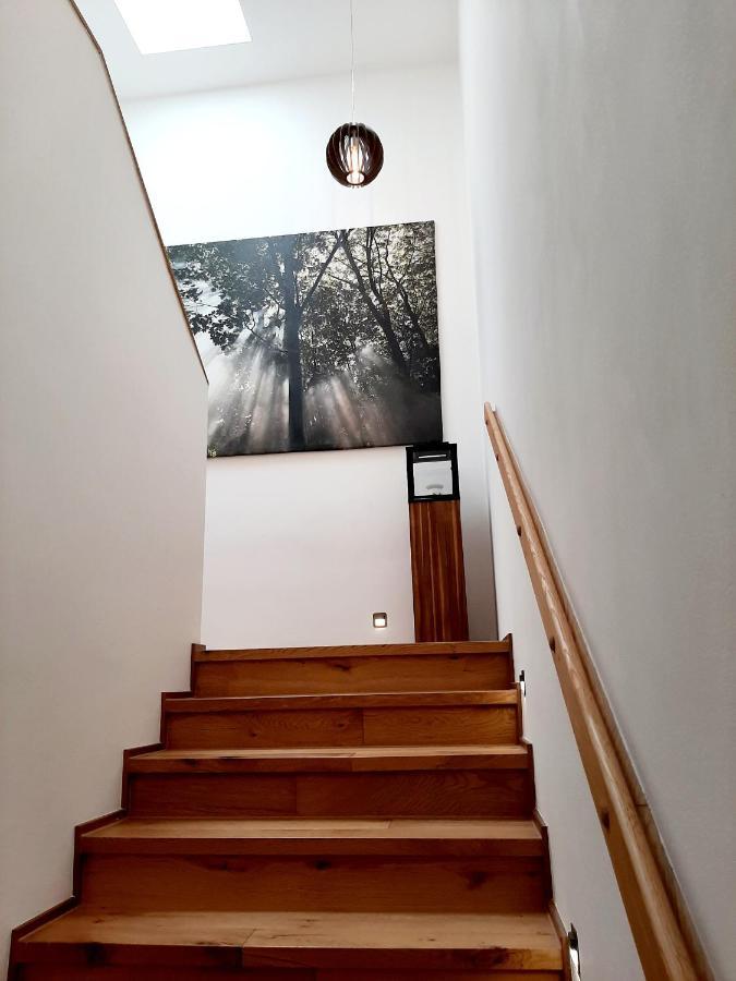 Nobless Apartments Holedna Brno Eksteriør bilde
